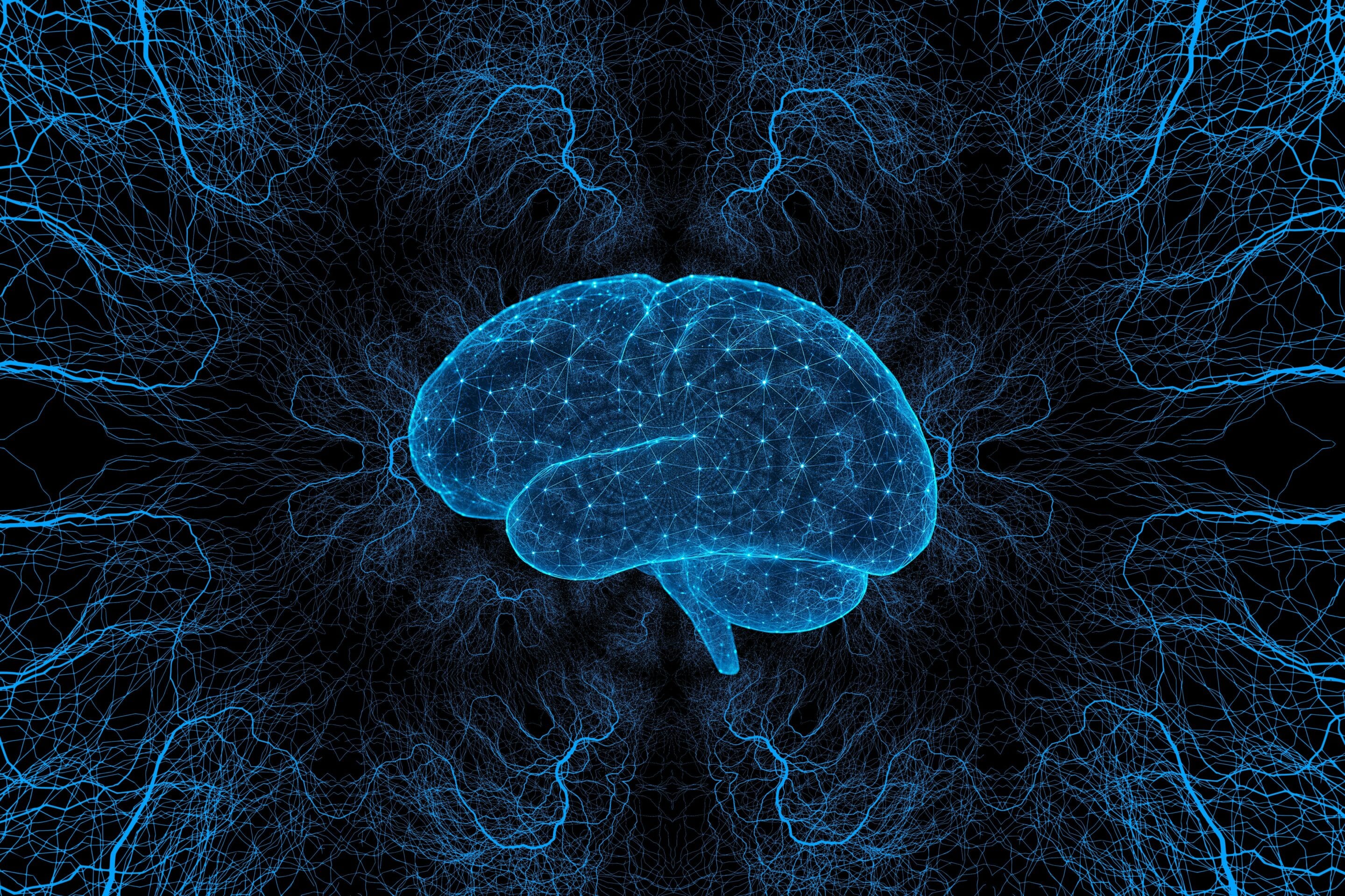 cerveau intelligence emotionnelle emotions neurosciences connexions